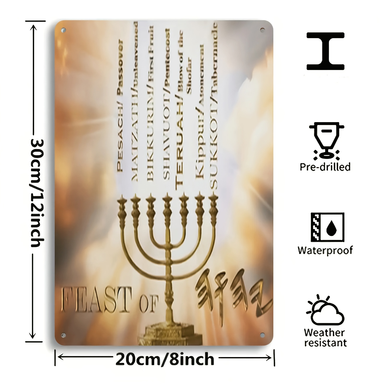 CIFBUYHebrew Star of David Alu - Home Decor Living Room 评论和价格